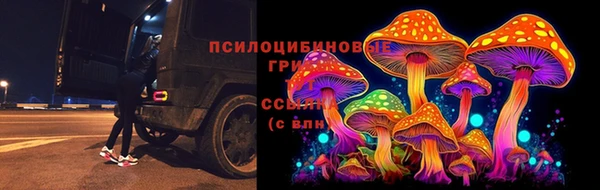 дурь Алзамай